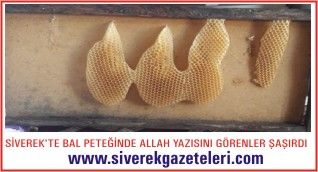 SİVEREK’TE BAL PETEĞİNDE ALLAH YAZISINI GÖRENLER ŞAŞIRDI