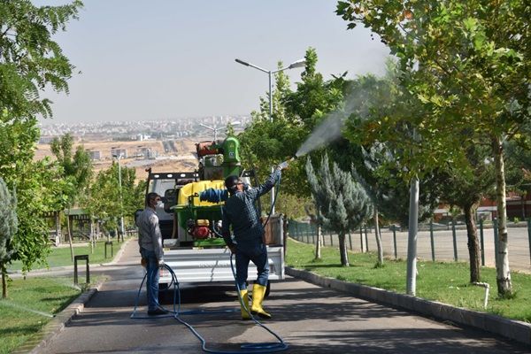 MİLLET BAHÇESİNDE İLAÇLAMA VE BAKIM ÇALIŞMALARI DEVAM EDİYOR