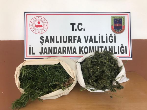 JANDARMA TİMLERİ UYUŞTURUCUYA  GEÇİT VERMİYOR.