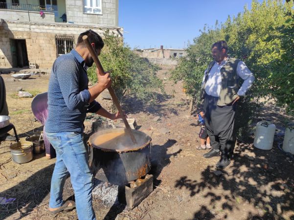 GELENEKSEL YÖNTEMLERLE YAPILAN BAĞ BOZUMUNA BAŞLANDI