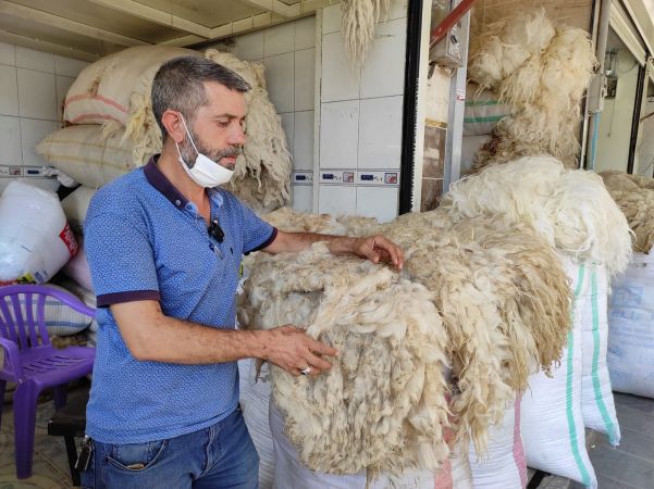 ESKİDEN FİYATI TEREYAĞI İLE YARIŞAN KOYUN YÜNLERİ ELDE KALDI