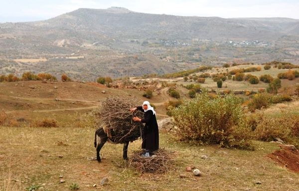 SİVEREK KIRSALINDA YAŞAYAN KADINLARIN KIŞ AYLARINDA YAKACAK DERDİ