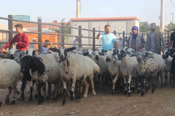 KURBAN PAZARLARI HAREKETLENDİ