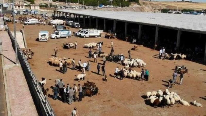 Diyarbakır’da Kurban Satış ve Kesim Yerleri Belirlendi