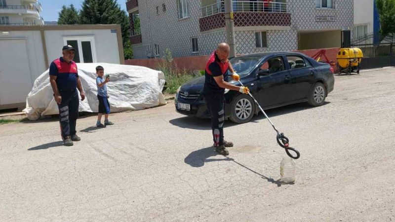 Evin bahçesine giren yılan yakalandı