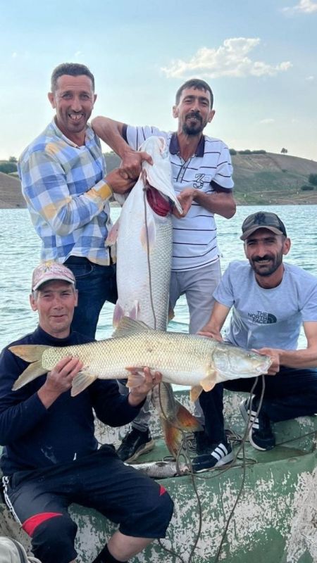 Fırat Nehri’nde Süpriz Balık Sevinci 