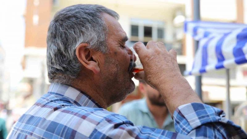 Sıcakta İçimizi Ferahlatan İçecekler 