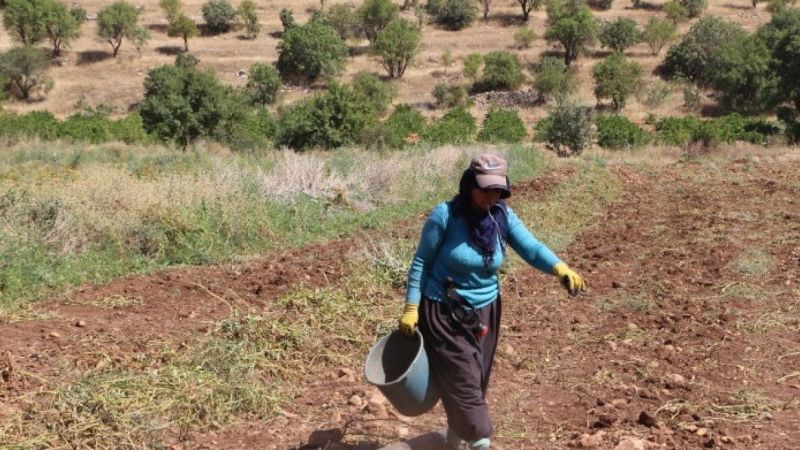 Emekçilerin Güneş İle İmtihanı 