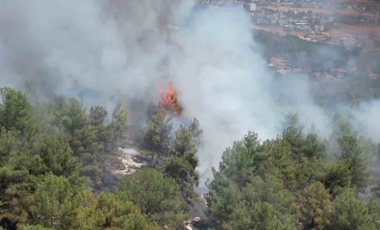 deprem bölgesinde orman yangını havadan görüntülendi