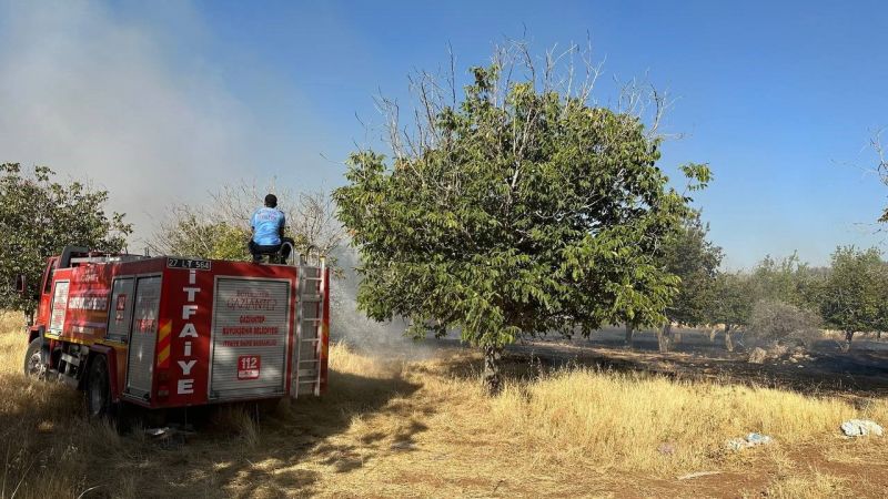 Vatandaşlar Ve İtfaiye Ekipleri Birlik Olup Yangına Müdahale Etti