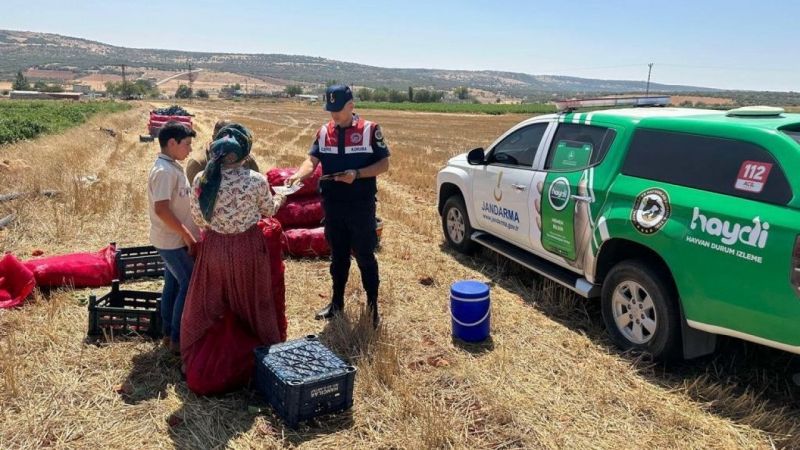  Anız Yangınlarına Karşı Büyük Bir Farkındalık Kampanyası Başlatıldı 