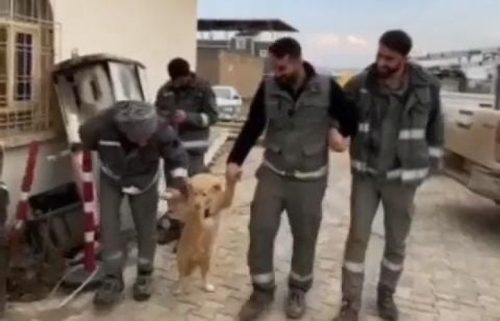 İşçilerin Köpekli Halayı Gülümsetti