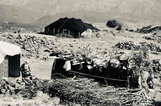 SİVEREKLİ YAZAR BÜYÜKKAYA’NIN “AMCAM MUSTAFA” İSİMLİ KİTABI  SOSYAL MEDYADA EN ÇOK OKUNAN KİTAPLAR ARASINDA YER ALDI