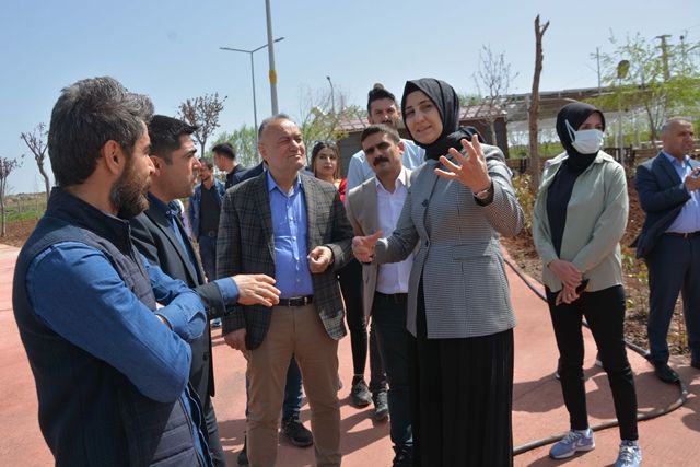 Başkan Çakmak, Kent Ormanı alanında incelemelerde bulundu