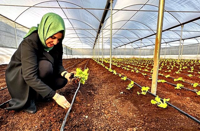 Başkan Çakmak, serada ilk sebze ürünlerinin ekimini yaptı