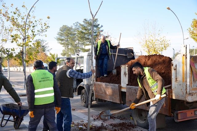 SİVEREK’TE AĞAÇLANDIRMA ÇALIŞMASI SÜRÜYOR