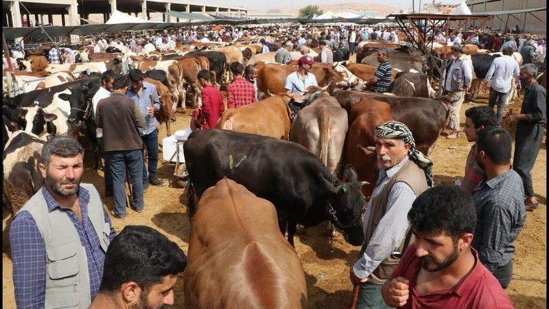 Siverek hayvan pazarı 28 nisan ‘da açılıyor.