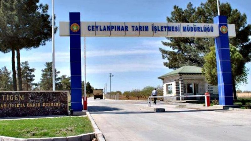  Ceylanpınar Tarım İşletmesi Müdürlüğü’ nden