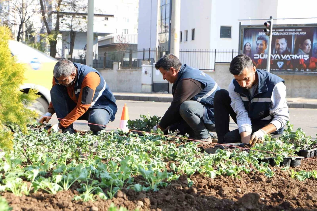 1 Milyon Çiçekle Renkleniyor