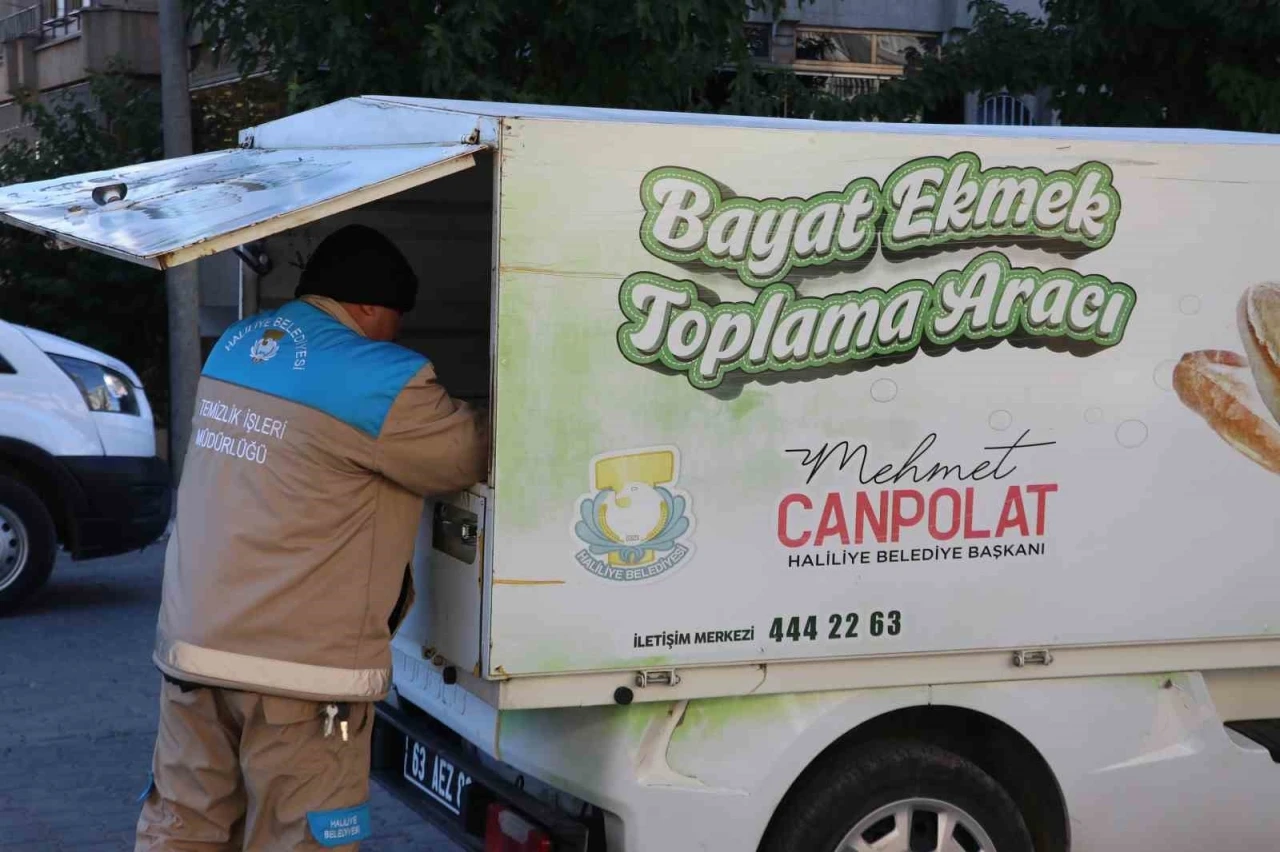 11 Ton Ekmek İsrafı Önlenerek Can Dostlara Ulaştı