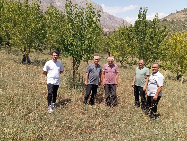 74 Yaşındaki Kemaliyeli Öğretmen, 19 Bin Ağacı Toprakla Buluşturdu