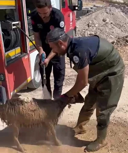 Adıyaman’da Alt Yapı Kanalına Düşen Keçi Kurtarıldı