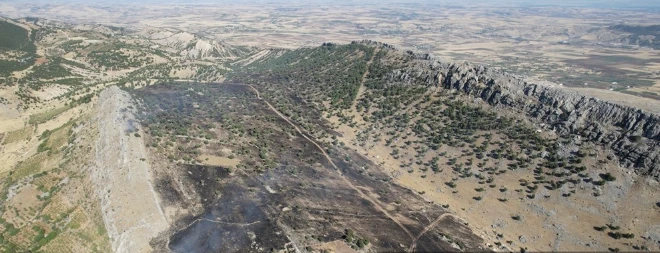 Adıyaman'da Çıkan Örtü Yangını Ormana Sıçramadan Kontrol Altına Alındı