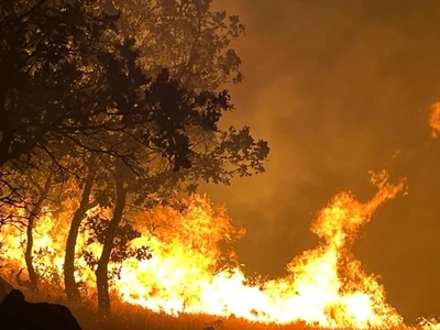 Adıyaman’da Orman Yangını Söndürülmeye Çalışılıyor