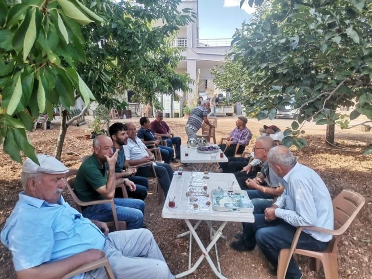 Akdeniz Meyve Sineği Zararlısı ile Mücadelede Çiftçilere Bilgilendirme