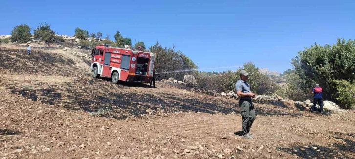 Anız Yangını Adıyaman'da Fıstık Bahçelerini Tehdit Etti: Ağaçlar Zarar Gördü