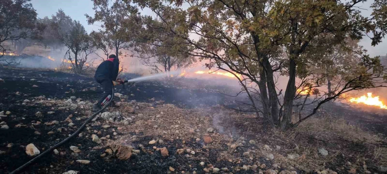 Anız Yangını Ormana Sıçradı 2 Hektarlık Alan Zarar Gördü