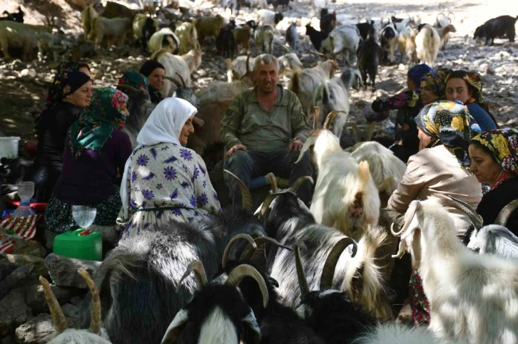 Berivanlar Son Dönemlerini Yaşıyor