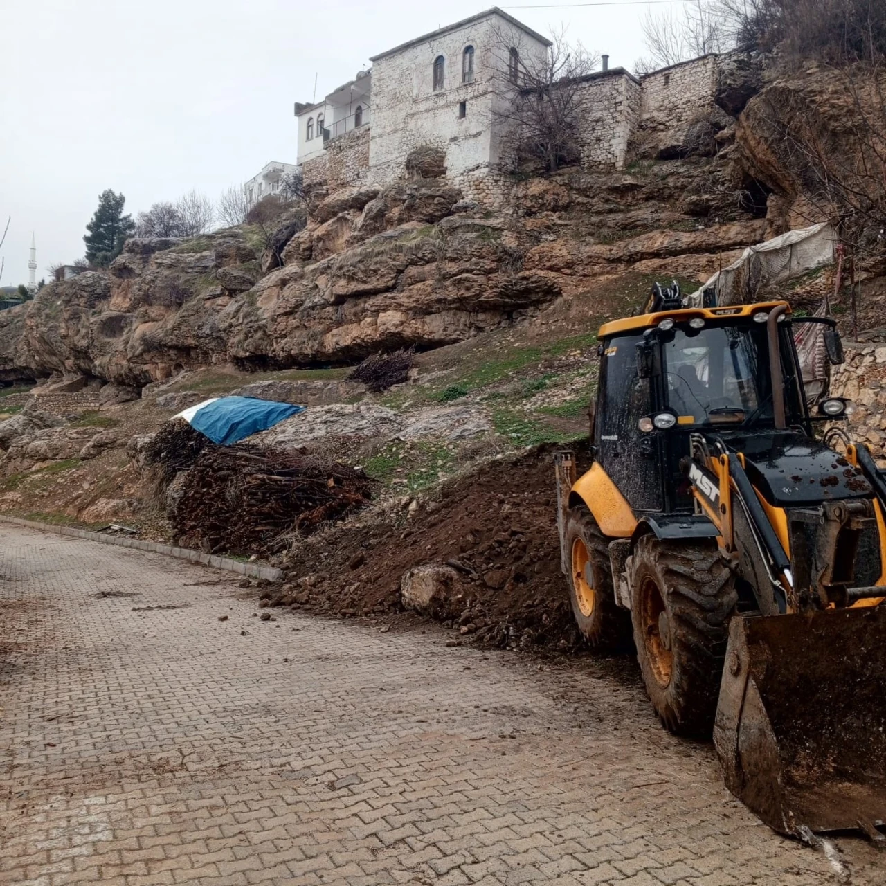 Canlı Hayvan Pazarı Projesi