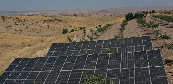 Çiftçiler Güneş Enerjisiyle Enerji Maliyetlerini Düşürdü