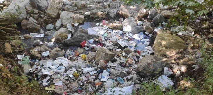 Doğa Harikası Piknik Alanlarında Çöp Sorunu: Piknikçiler Geride Yığınlar Bıraktı