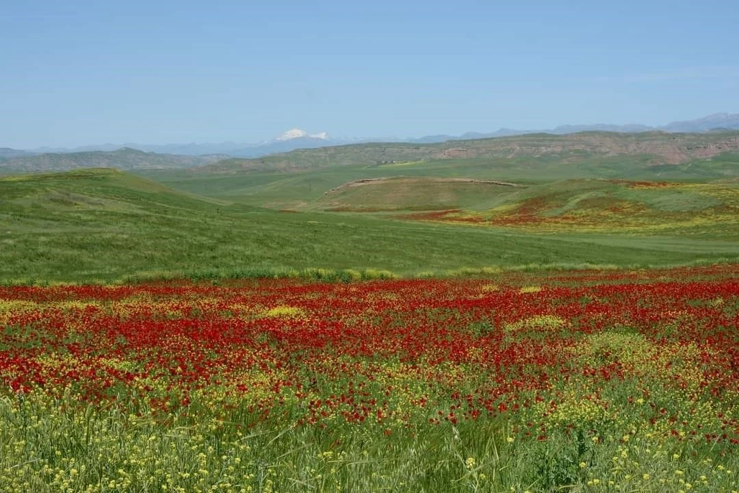 Garzan Ovası Resmi Gazete'de Büyük Ova Olarak İlan Edildi