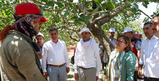 Gaziantep Büyükşehir Belediyesi'nden Çiftçiye Fıstık Desteği: &quot;Yeşil Altın&quot; Hak Ettiği Değeri Bulacak