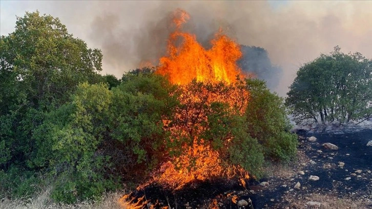 Gaziantep Keklik Mahallesinde Çıkan Yangın Kontrol Altına Alındı