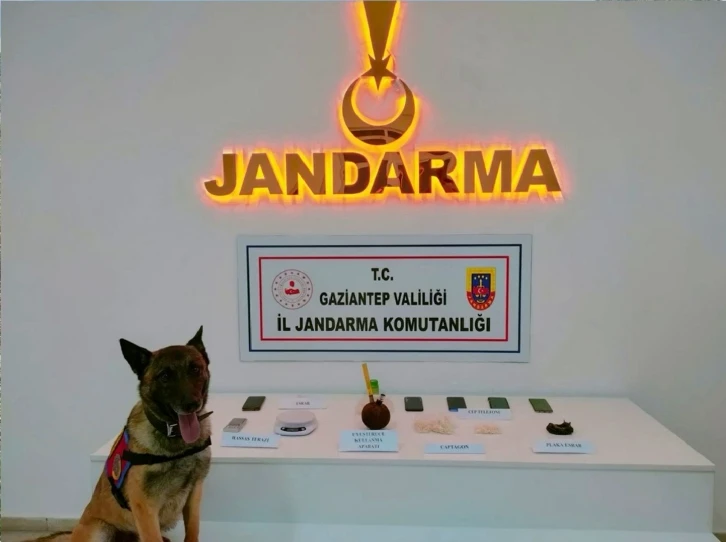 Gaziantep'te Jandarma'dan Büyük Operasyon: 823 Şüpheli Gözaltında