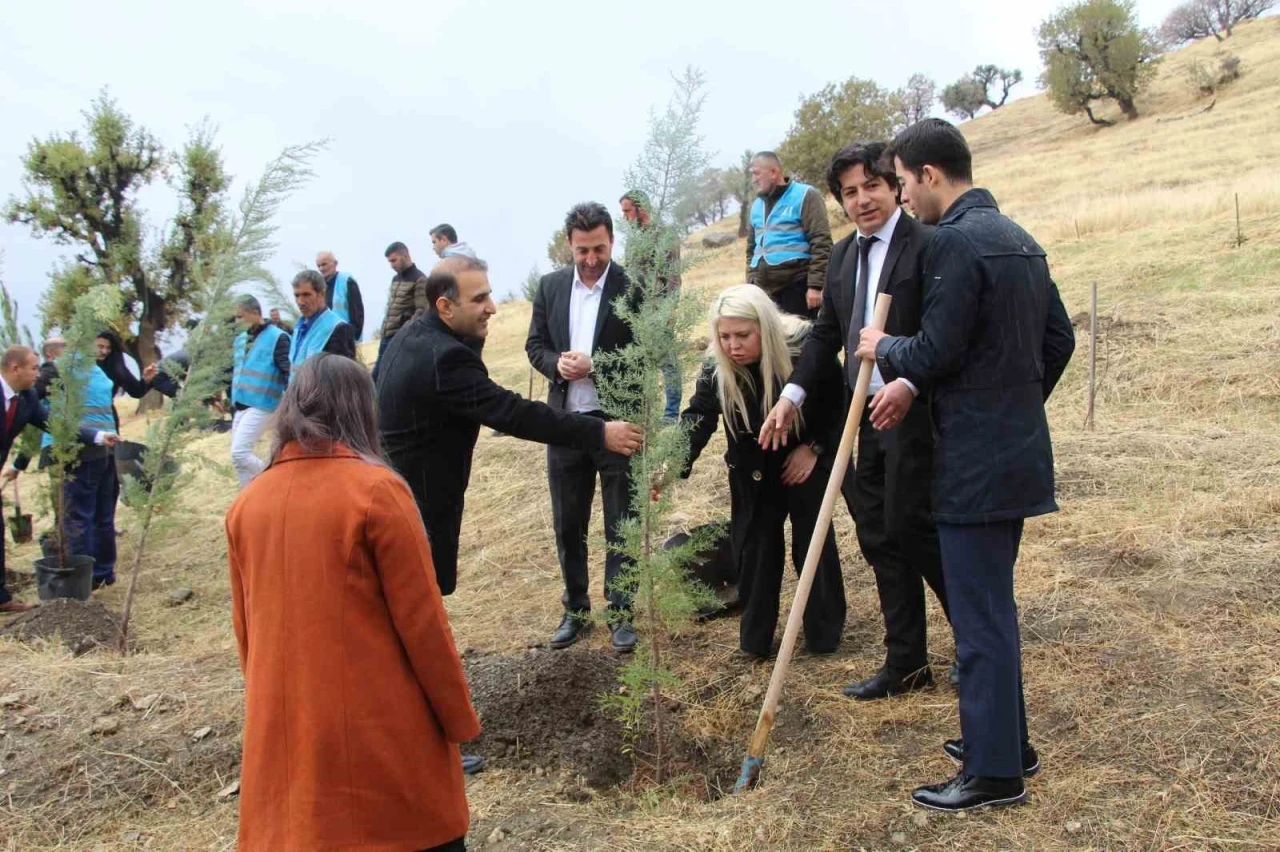 Geleceğe Nefes İçin Fidanlar Toprakla Buluştu