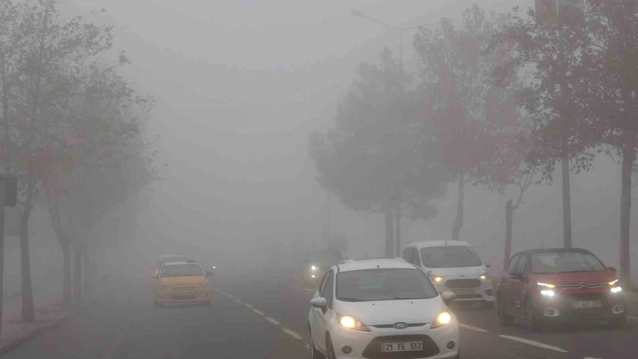 Hava ve Kara Ulaşımına Sis Engeli