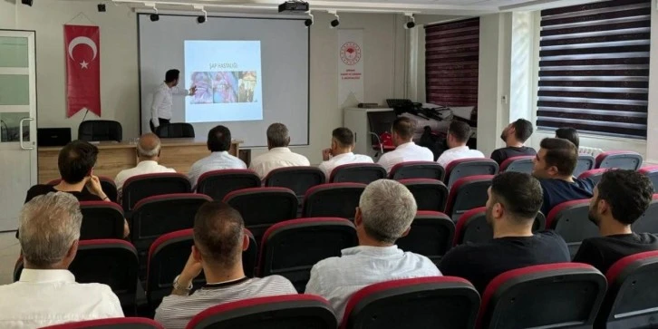 İdil'de Şap Hastalığına Karşı Yoğun Dezenfekte Çalışmaları