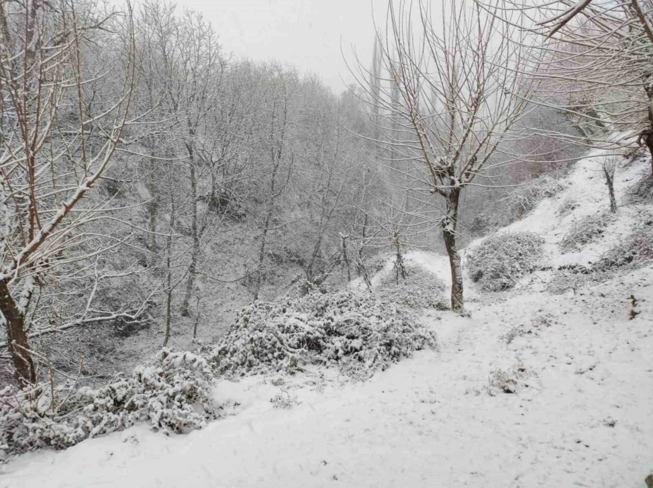  Kar Yağışı, Köy Yollarını Ulaşıma Kapattı