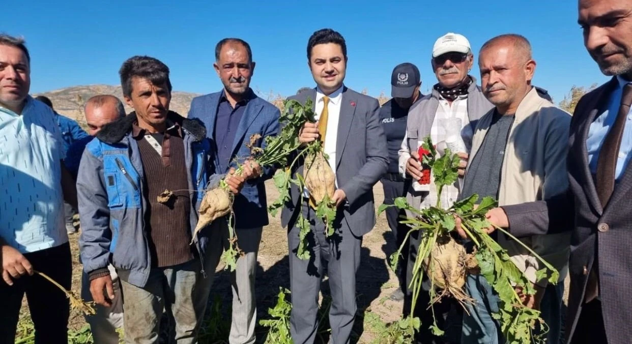 Kaymakamı Tarık Buğra Seyhan, Şeker Pancarı Hasadına Katıldı