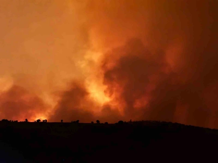 Kırsal Mahalledeki Yangın: Geniş Alana Yayılarak Tehlike yarattı