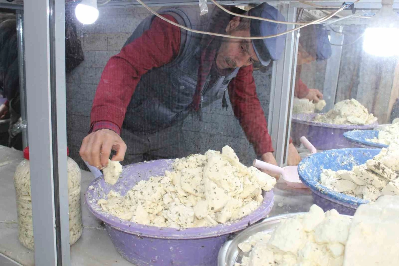 Kışın Vazgeçilmezi Yöresel Koyun Peyniri Satışa Çıktı