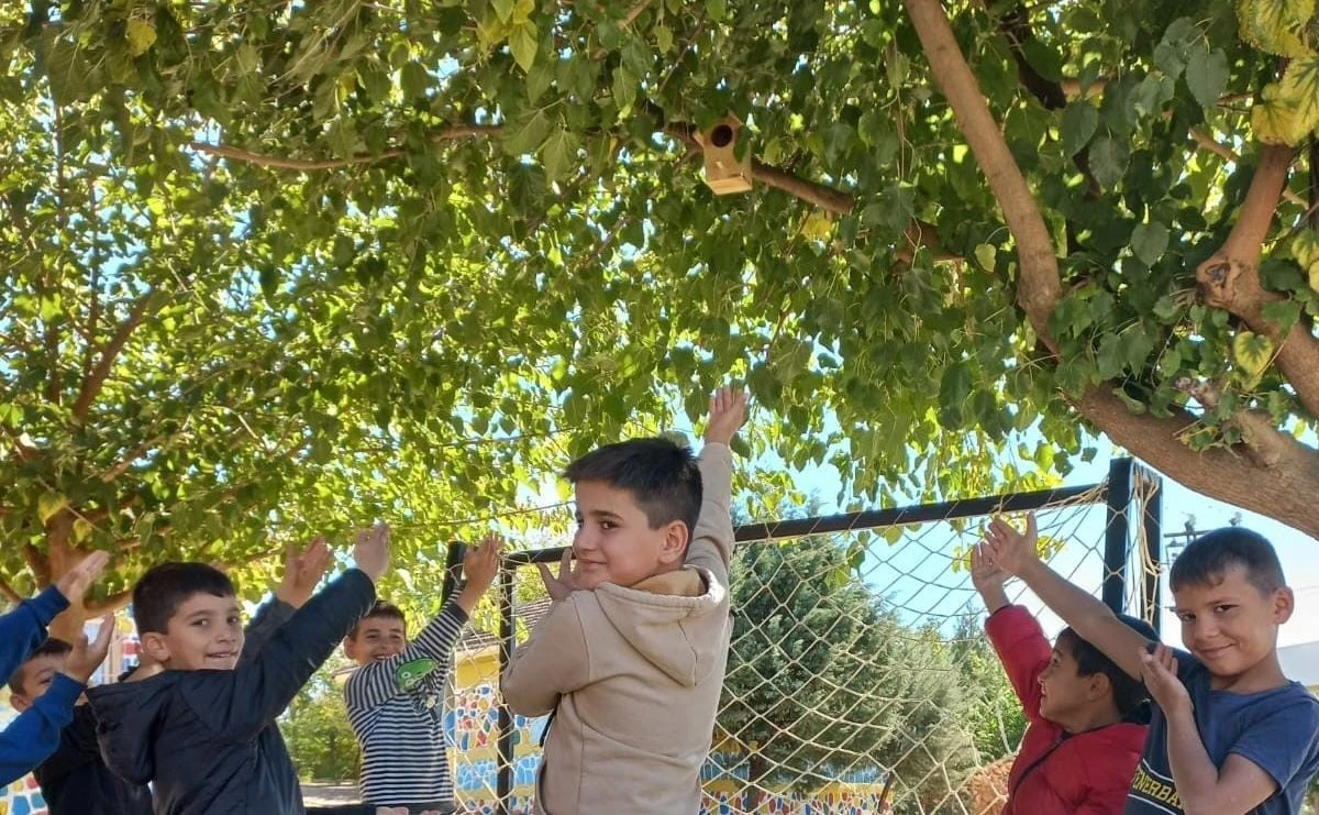 Kuş Yuvaları Projesi ile Ekosisteme Anlamlı Katkı