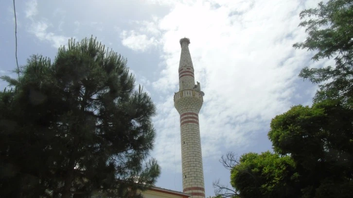Leylek, Gaziantep'teki Tarihi Minareyi Ev Seçti