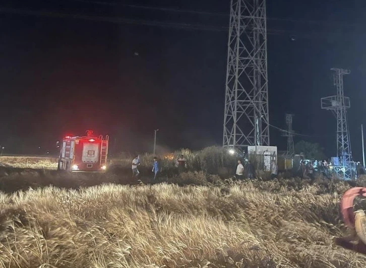 Mardin Artuklu'da 50 Dönüm Buğday Tarlası Yangında Kül Oldu