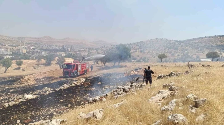 Mardin Artuklu'da Orman Yangını Kontrol Altına Alındı